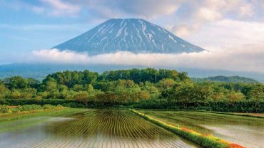 Summer holiday in Niseko: 10 activities for families
