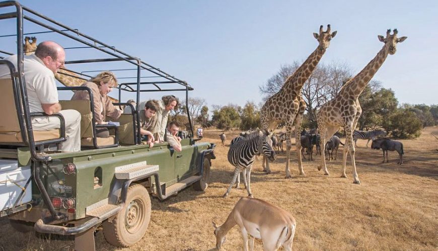 3 reasons you should take an African safari with the kids