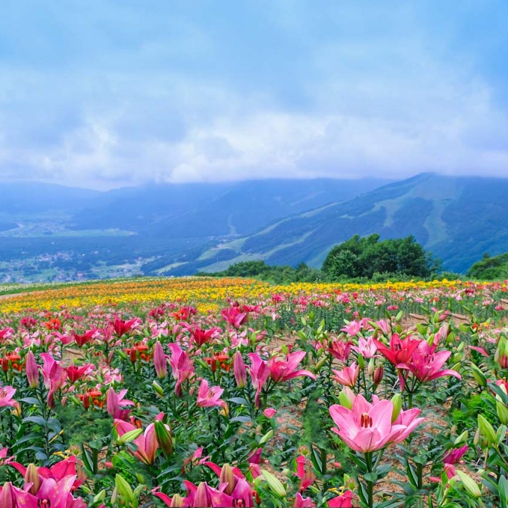 The ultimate Hakuba summer bucket list