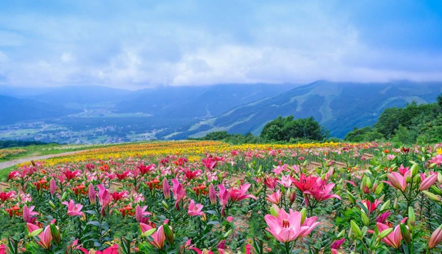 The ultimate Hakuba summer bucket list