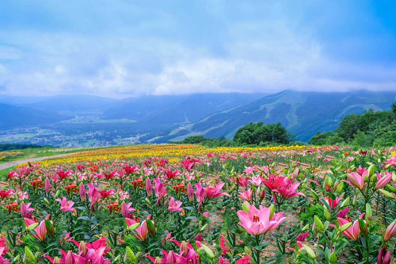 The ultimate Hakuba summer bucket list