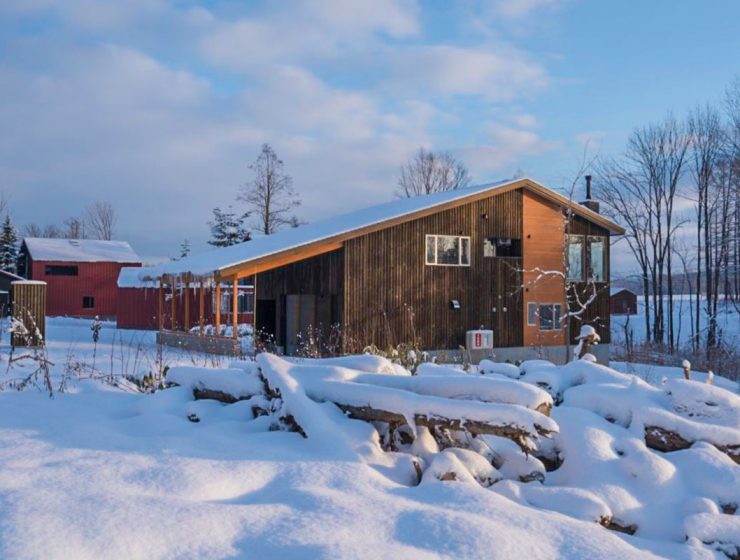 树巢别墅11号｜二世古桦山