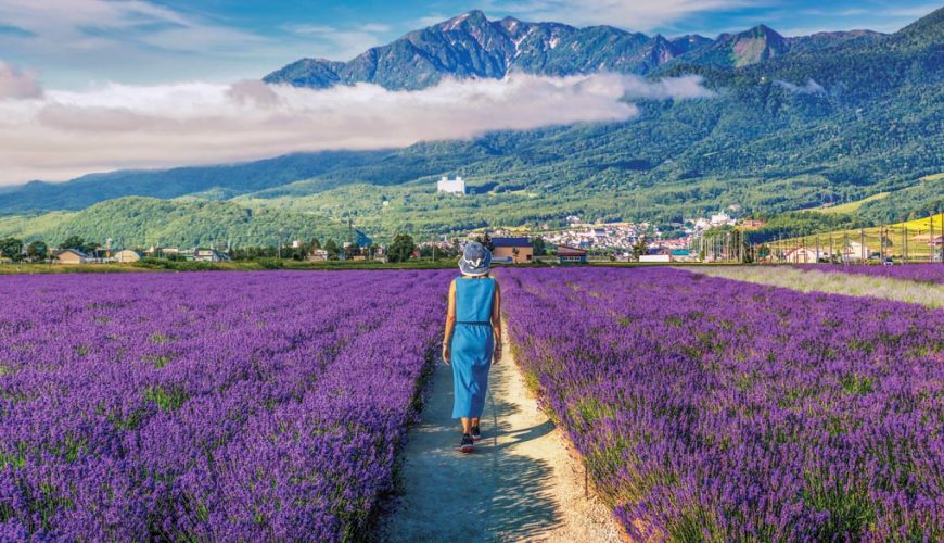4 family-fun things to do in Furano this summer
