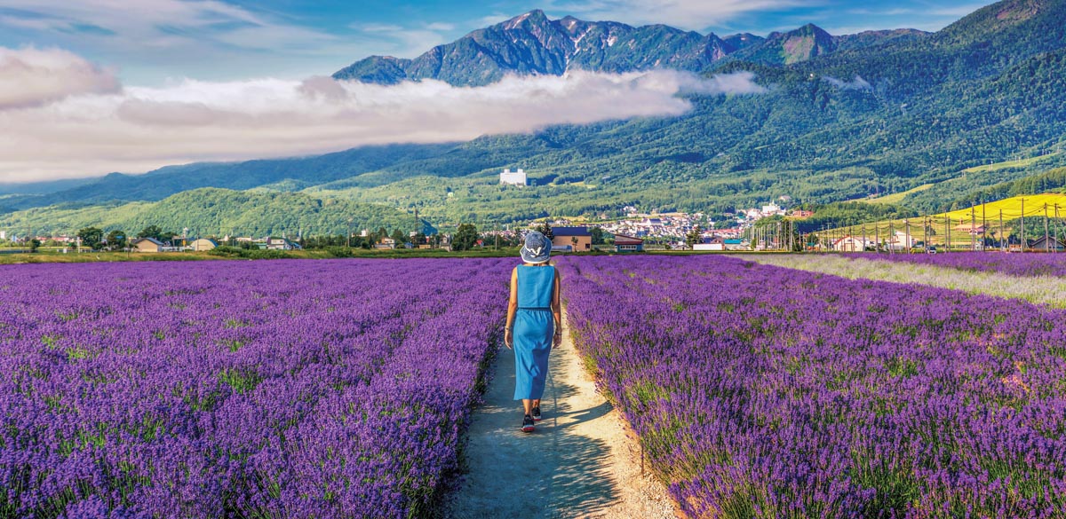 4 family-fun things to do in Furano this summer