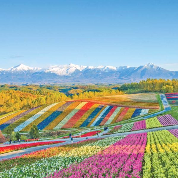 8 fun summer activities for families in Furano