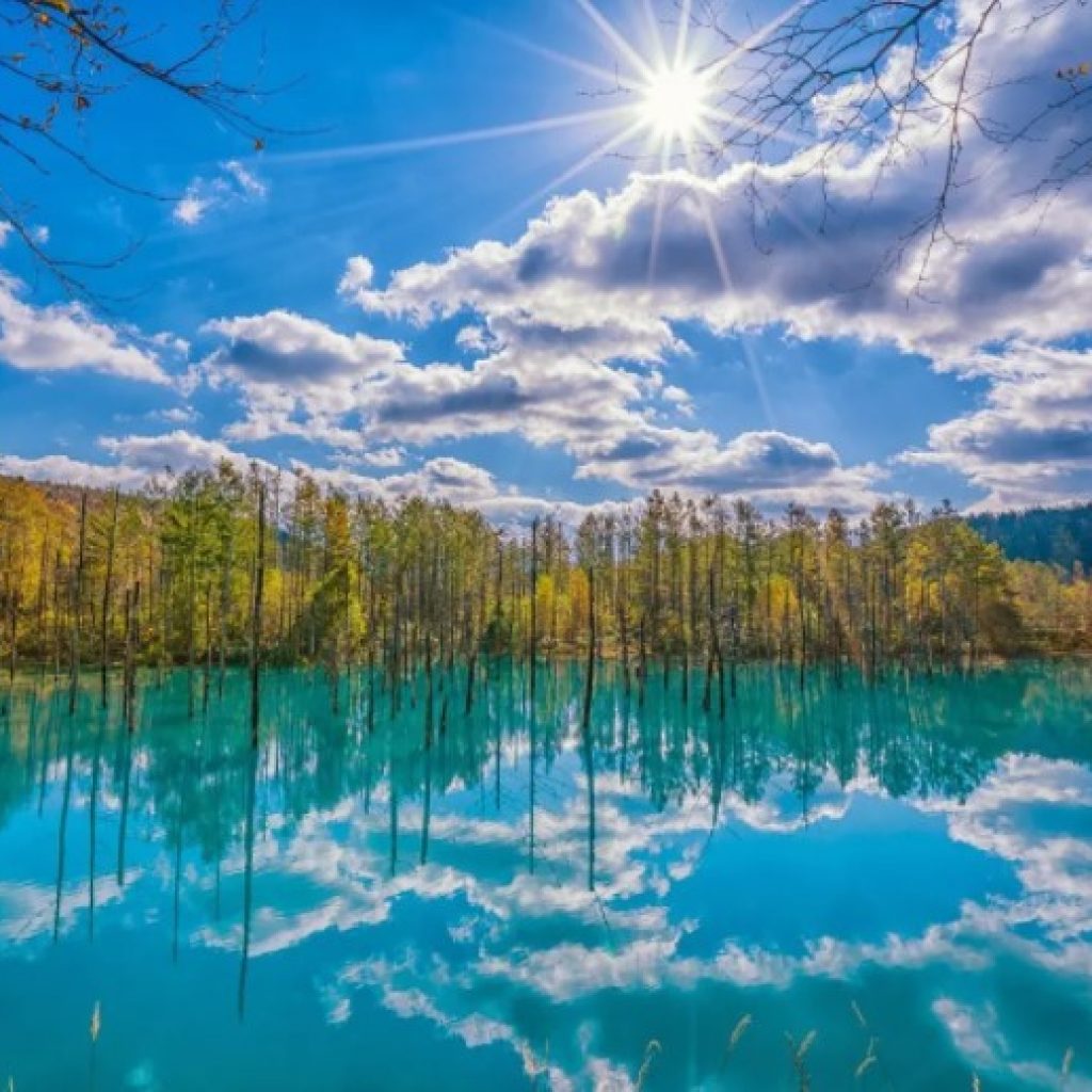 Day trip in Furano : Stop and Smell the Flowers and Summer Hotspots