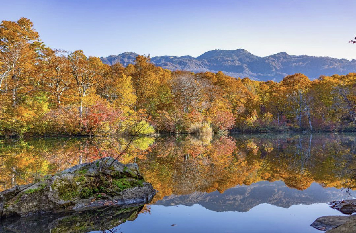 Top 3 Hiking Routes to enjoy Autumn Foliage you should never miss in Hakuba