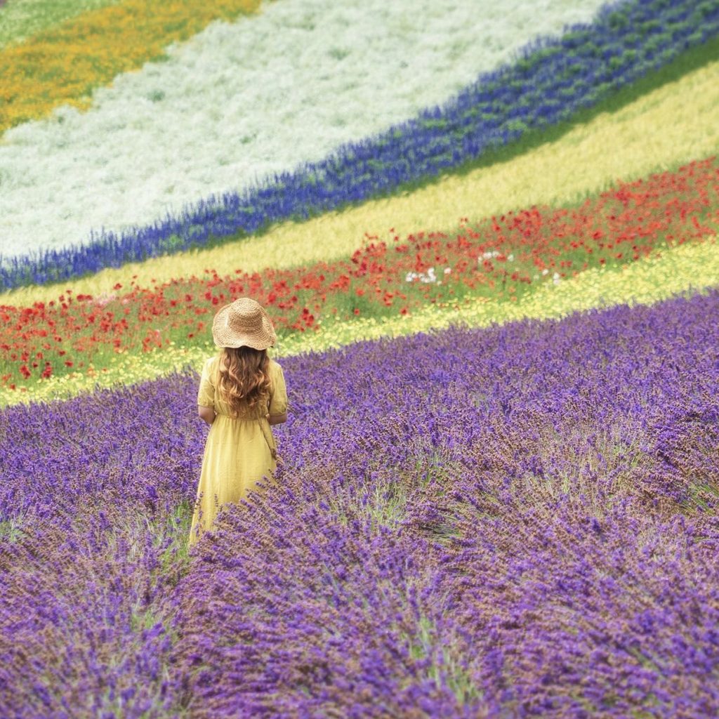 10 Fun Things To Do In Furano This Summer