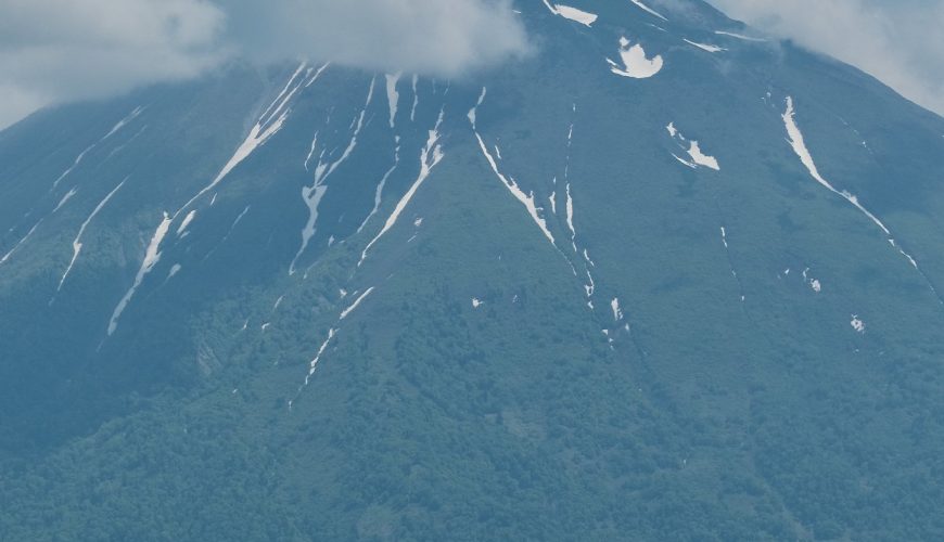 Niseko Family Fun: Unravel the Wonders of Summer