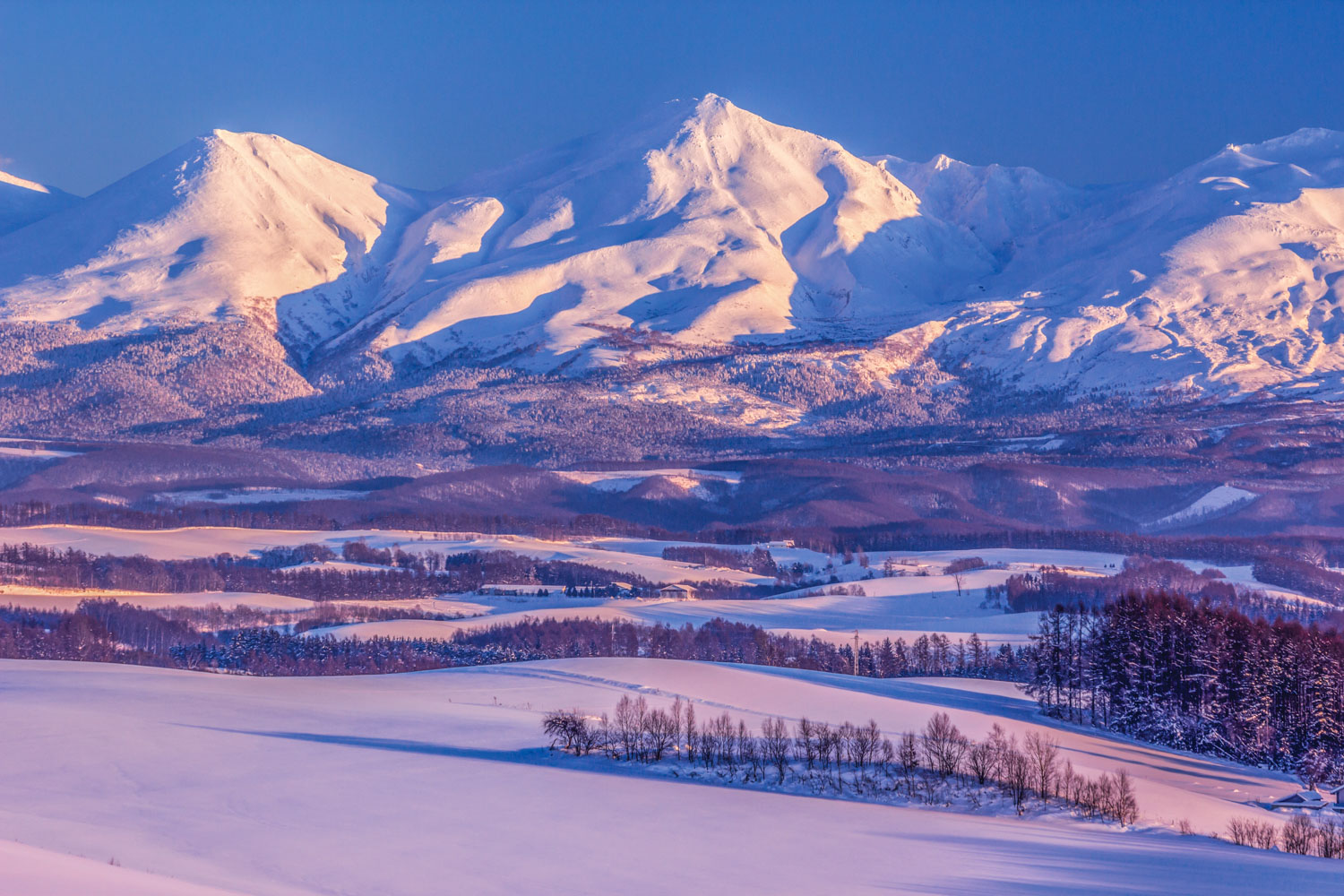 Discover Furano, Hokkaido’s winter hidden gem