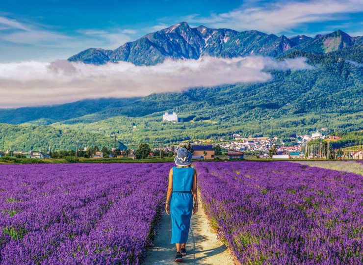 Furano・Japan
