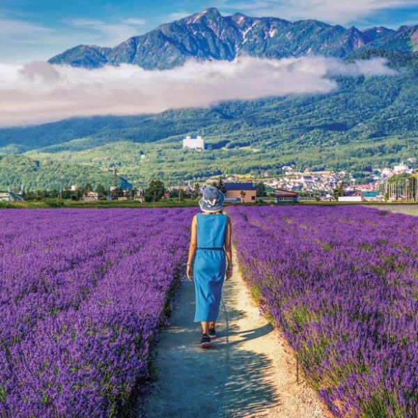 8 fun summer activities for families in Furano